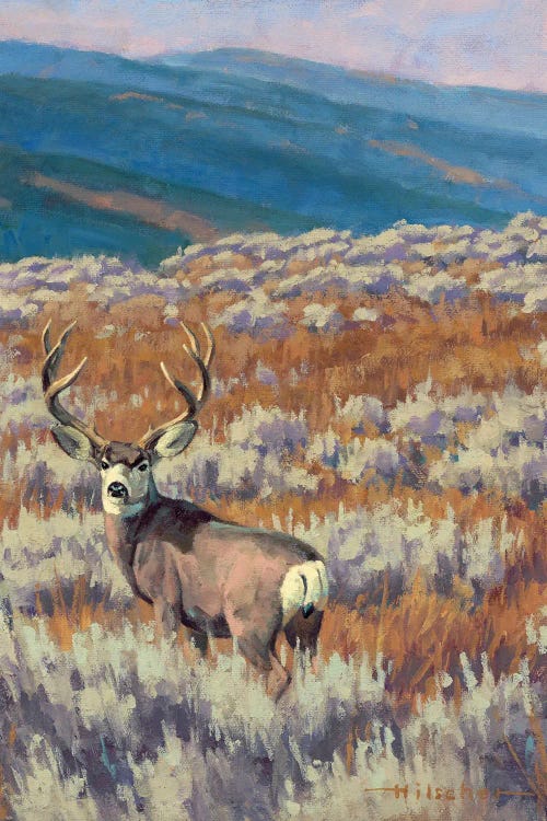 Dry Fork Mulie Study Mule Deer