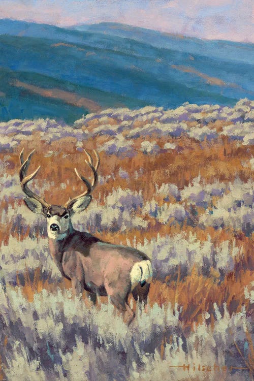 Dry Fork Mulie Study Mule Deer by Tony Hilscher wall art
