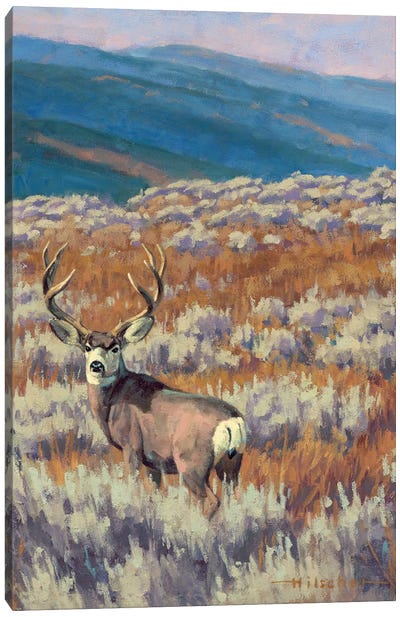 Dry Fork Mulie Study Mule Deer Canvas Art Print - Lakehouse Décor