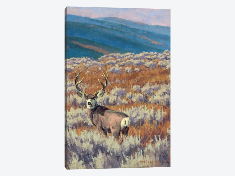 Dry Fork Mulie Study Mule Deer by Tony Hilscher 1-piece Canvas Artwork