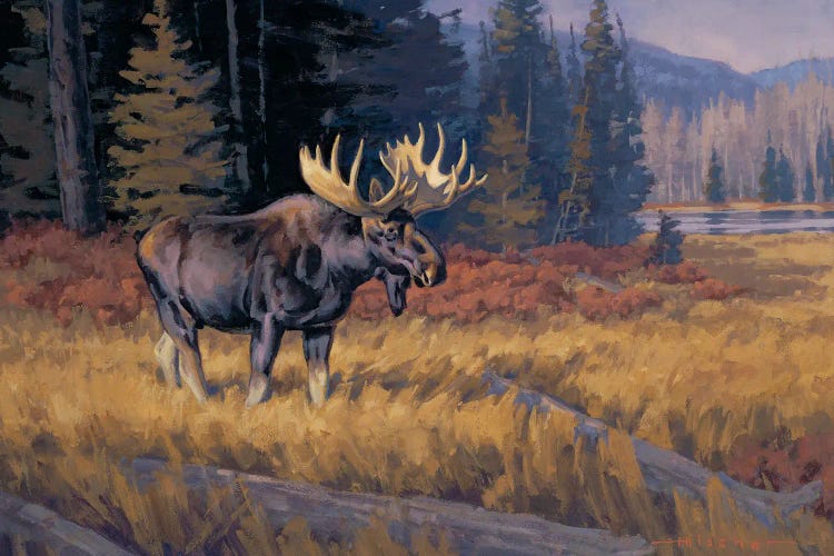 October Moose by Tony Hilscher wall art