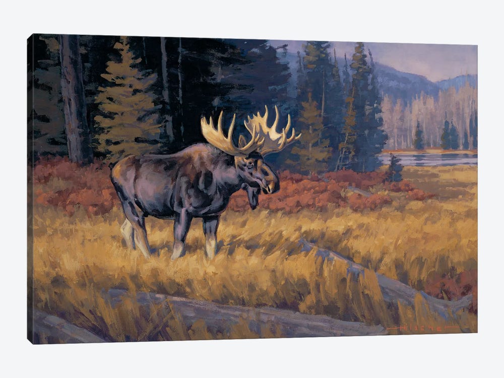 October Moose by Tony Hilscher 1-piece Canvas Wall Art