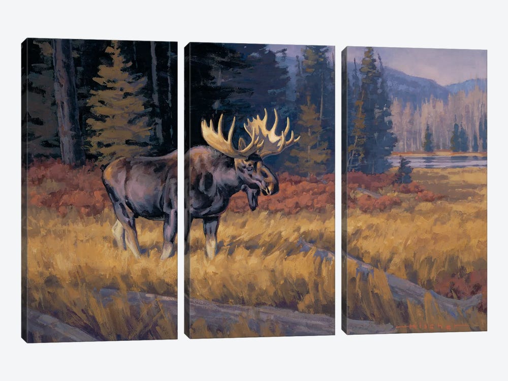 October Moose by Tony Hilscher 3-piece Canvas Wall Art