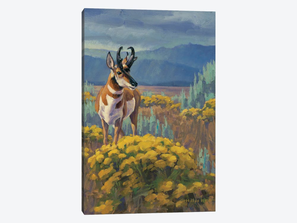 Teton Flats Pronghorn by Tony Hilscher 1-piece Canvas Art Print