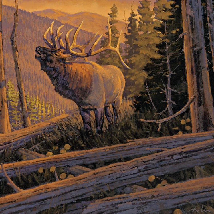 The Conquest Elk by Tony Hilscher wall art