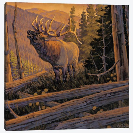 The Conquest Elk Canvas Print #THI9} by Tony Hilscher Canvas Wall Art