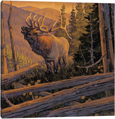 The Conquest Elk Canvas Art Print - Lakehouse Décor