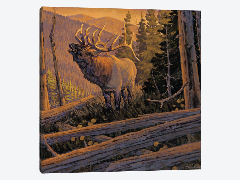The Conquest Elk by Tony Hilscher 1-piece Canvas Art