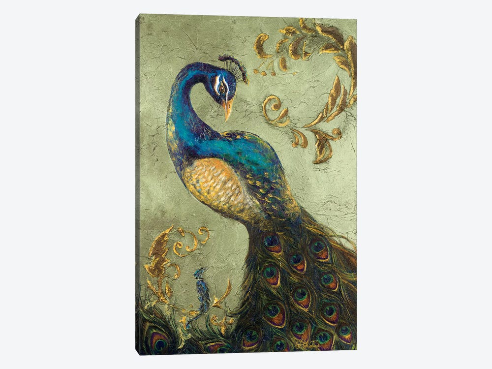 Peacock On Sage Ii Canvas Art Print By Tiffany Hakimipour Icanvas