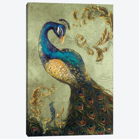 Peacock on Sage II Canvas Print #THK10} by Tiffany Hakimipour Canvas Wall Art
