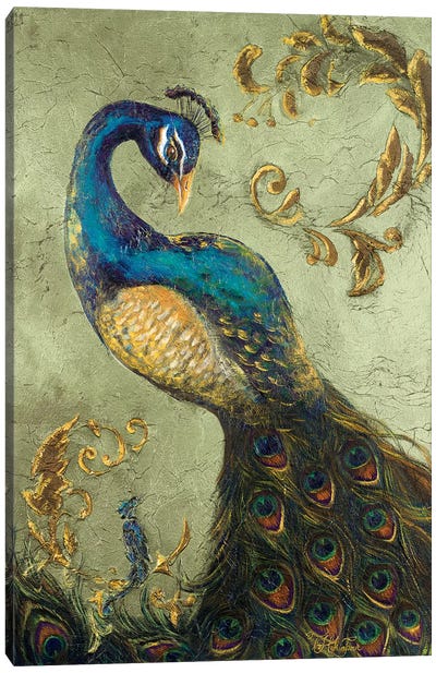 Peacock on Sage II Canvas Art Print - Peacock Art