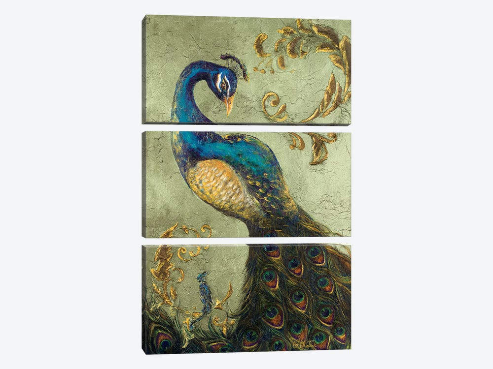Peacock on Sage II by Tiffany Hakimipour 3-piece Art Print