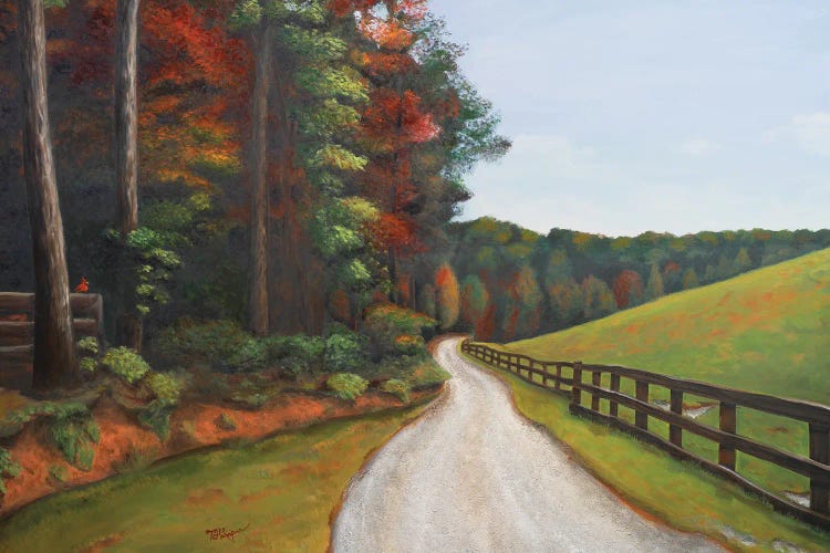 Country Road I by Tiffany Hakimipour wall art