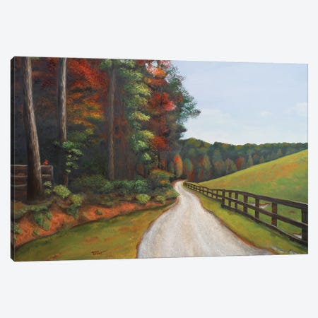 Country Road I Canvas Print #THK38} by Tiffany Hakimipour Canvas Art