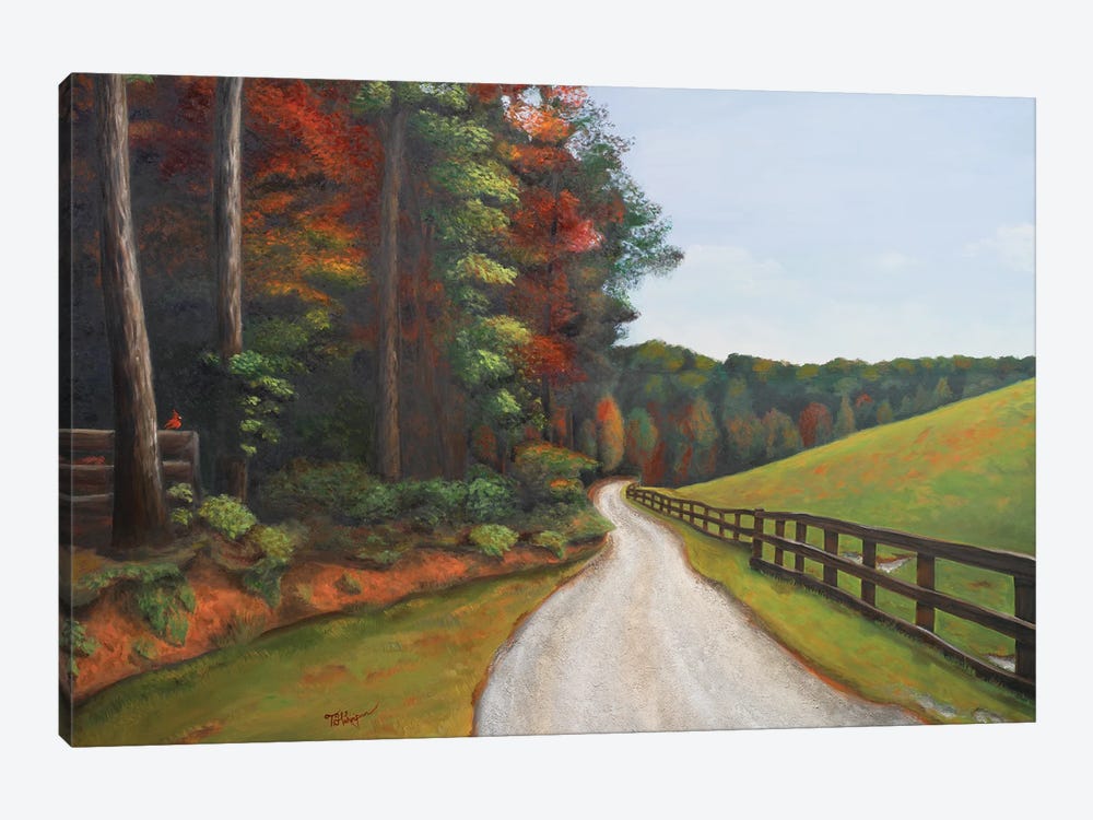 Country Road I by Tiffany Hakimipour 1-piece Art Print