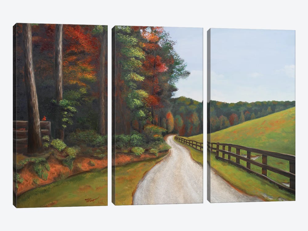 Country Road I by Tiffany Hakimipour 3-piece Canvas Print