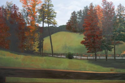 Country Road II by Tiffany Hakimipour acrylic art print