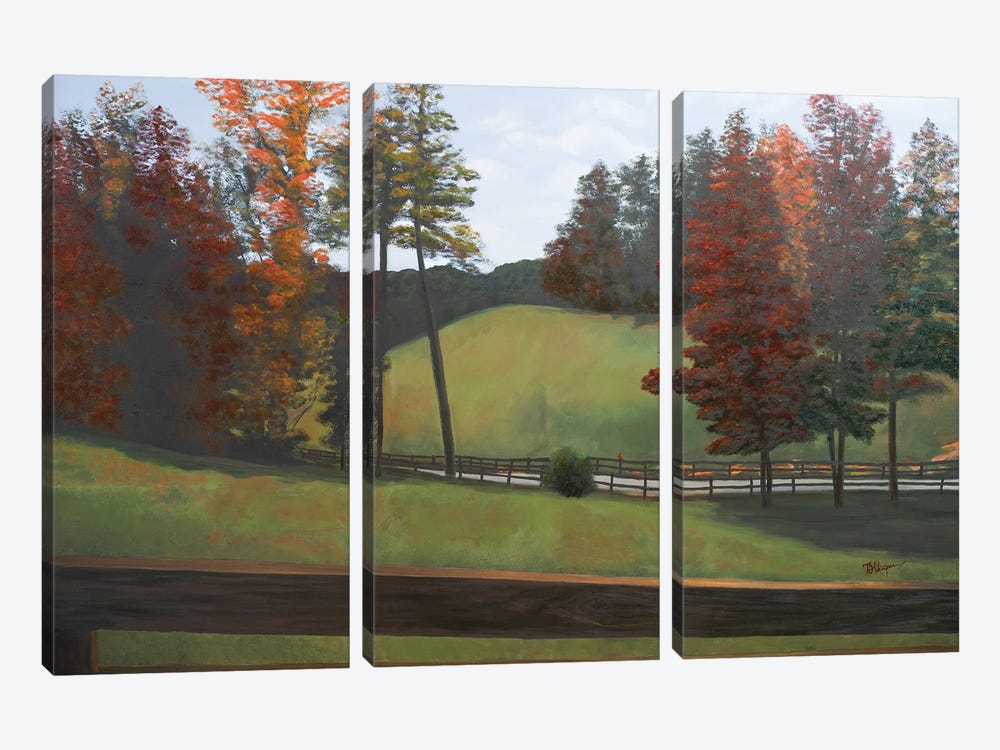 Country Road II by Tiffany Hakimipour 3-piece Canvas Artwork