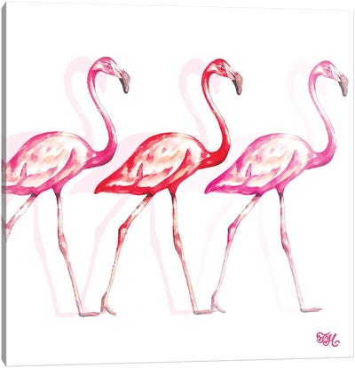 Flamingo Trio I Canvas Art Print