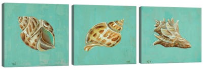 Ocean's Gift Triptych Canvas Art Print