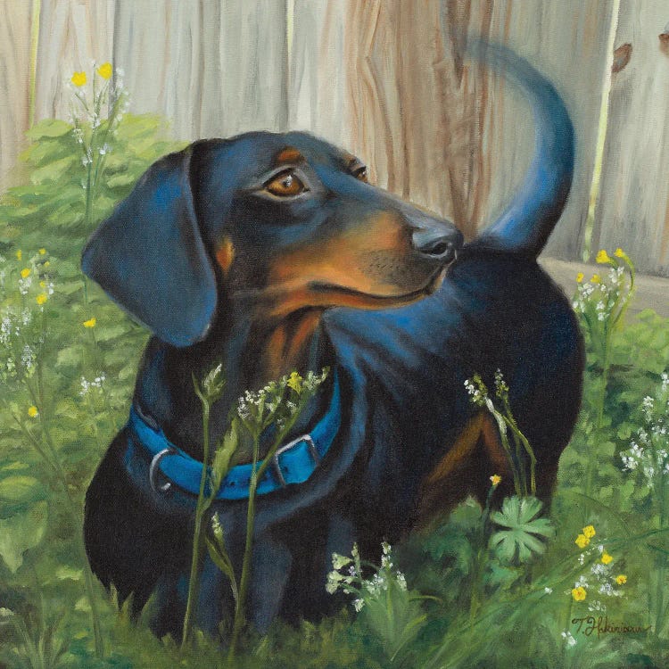 Dachshund by Tiffany Hakimipour wall art