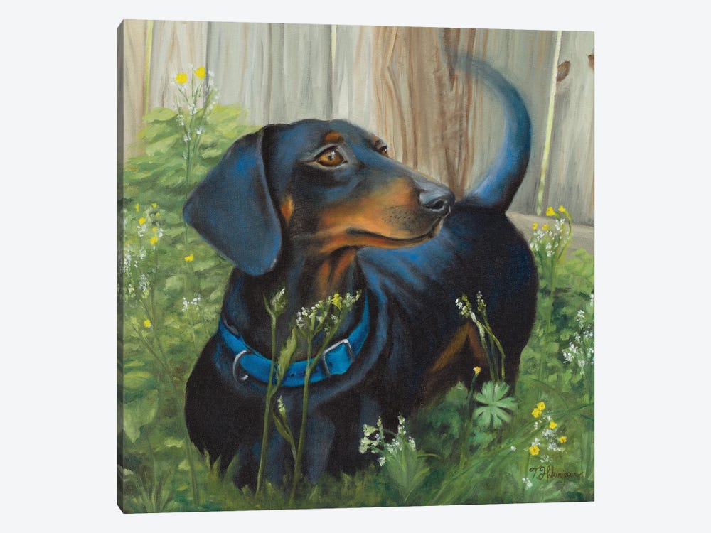 Dachshund by Tiffany Hakimipour 1-piece Canvas Artwork