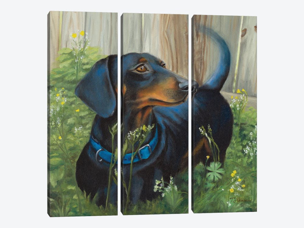 Dachshund by Tiffany Hakimipour 3-piece Canvas Artwork