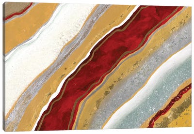 Red Earth I Canvas Art Print