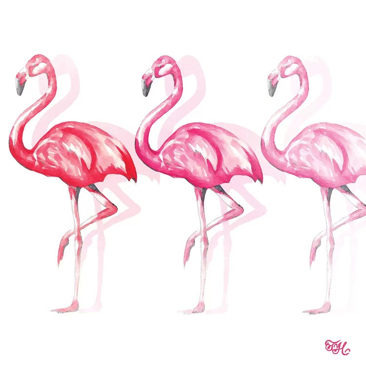 Flamingo Trio II