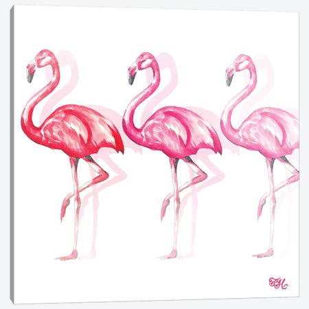 Flamingo Trio II Canvas Print #THK4} by Tiffany Hakimipour Art Print