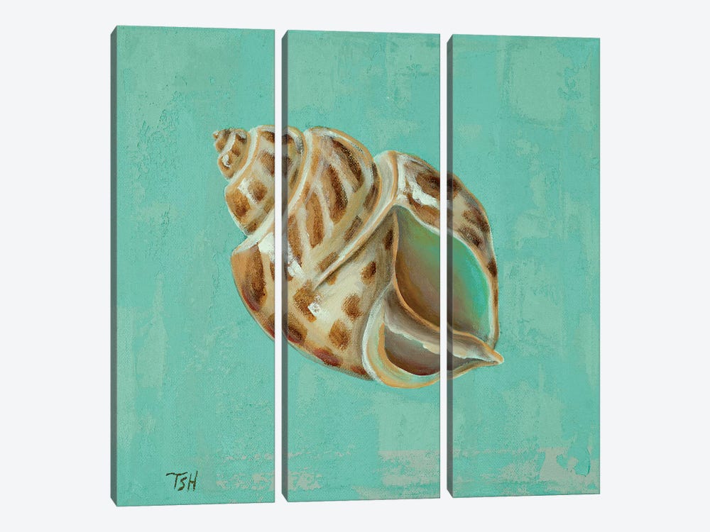 Ocean's Gift II by Tiffany Hakimipour 3-piece Canvas Wall Art