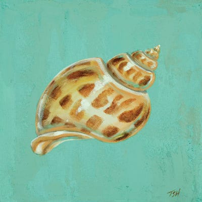 Ocean's Gift III by Tiffany Hakimipour acrylic art print