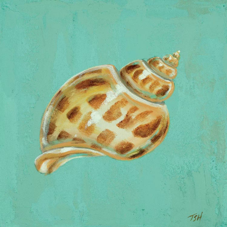 Ocean's Gift III by Tiffany Hakimipour wall art