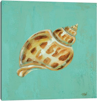 Ocean's Gift III Canvas Art Print