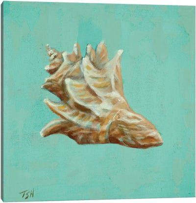 Ocean's Gift IV Canvas Art Print