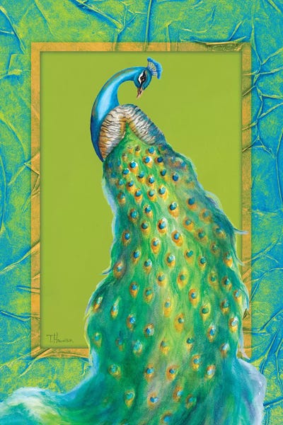 Peacock Daze II by Tiffany Hakimipour acrylic art print