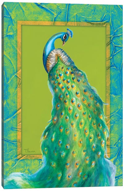 Peacock Daze II Canvas Art Print