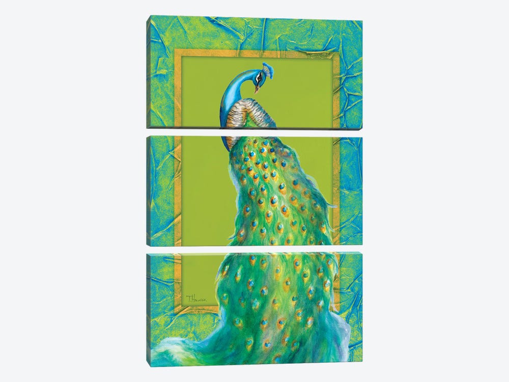 Peacock Daze II by Tiffany Hakimipour 3-piece Canvas Print