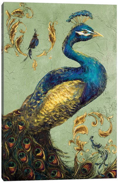 Peacock on Sage I Canvas Art Print - Peacock Art