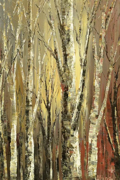 Witches Woods by Tatiana Iliina canvas print