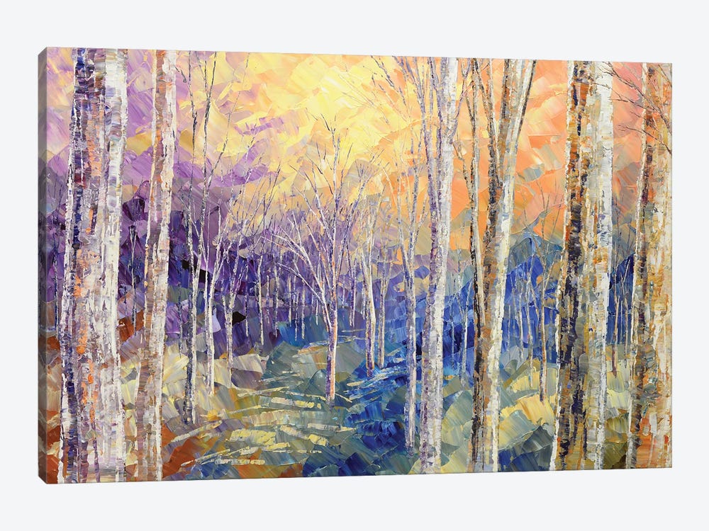 Woods Awaken 1-piece Canvas Artwork