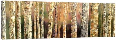 Skinny Trees Canvas Art Print - Tatiana Iliina