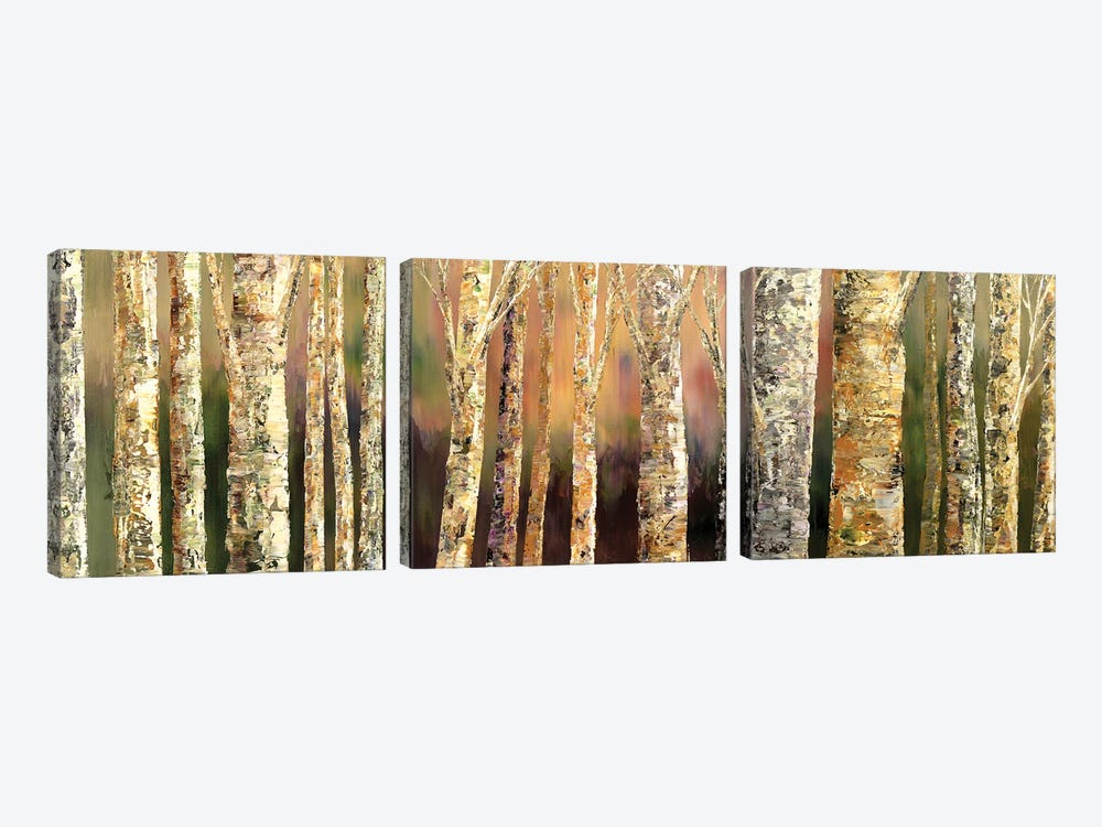 Skinny Trees by Tatiana Iliina 3-piece Canvas Art Print