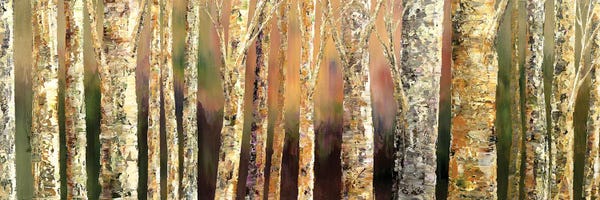Birch Trees: Skinny Trees by Tatiana Iliina