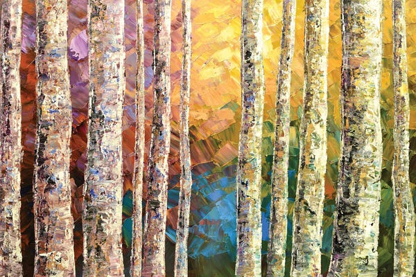 Birch Trees: Where the Wind Walks by Tatiana Iliina