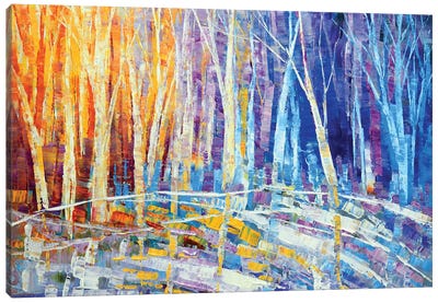 Color Of Snow Canvas Art Print - Tatiana Iliina