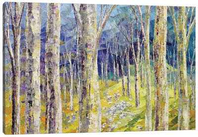 Into The Woods Canvas Art Print - Current Day Impressionism Art