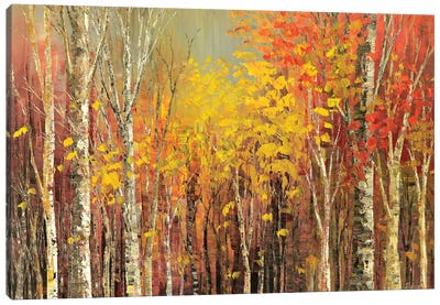 Tangled Colors Canvas Art Print - Tree Close-Up Art
