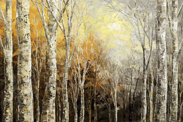 Tatiana Iliina: Mindful Melodies by Tatiana Iliina