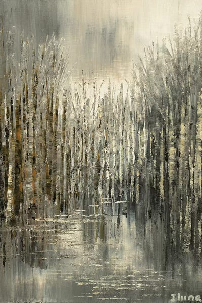 Northern Pewter by Tatiana Iliina canvas print